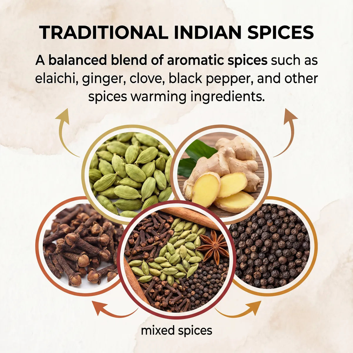 Surya Chai Masala