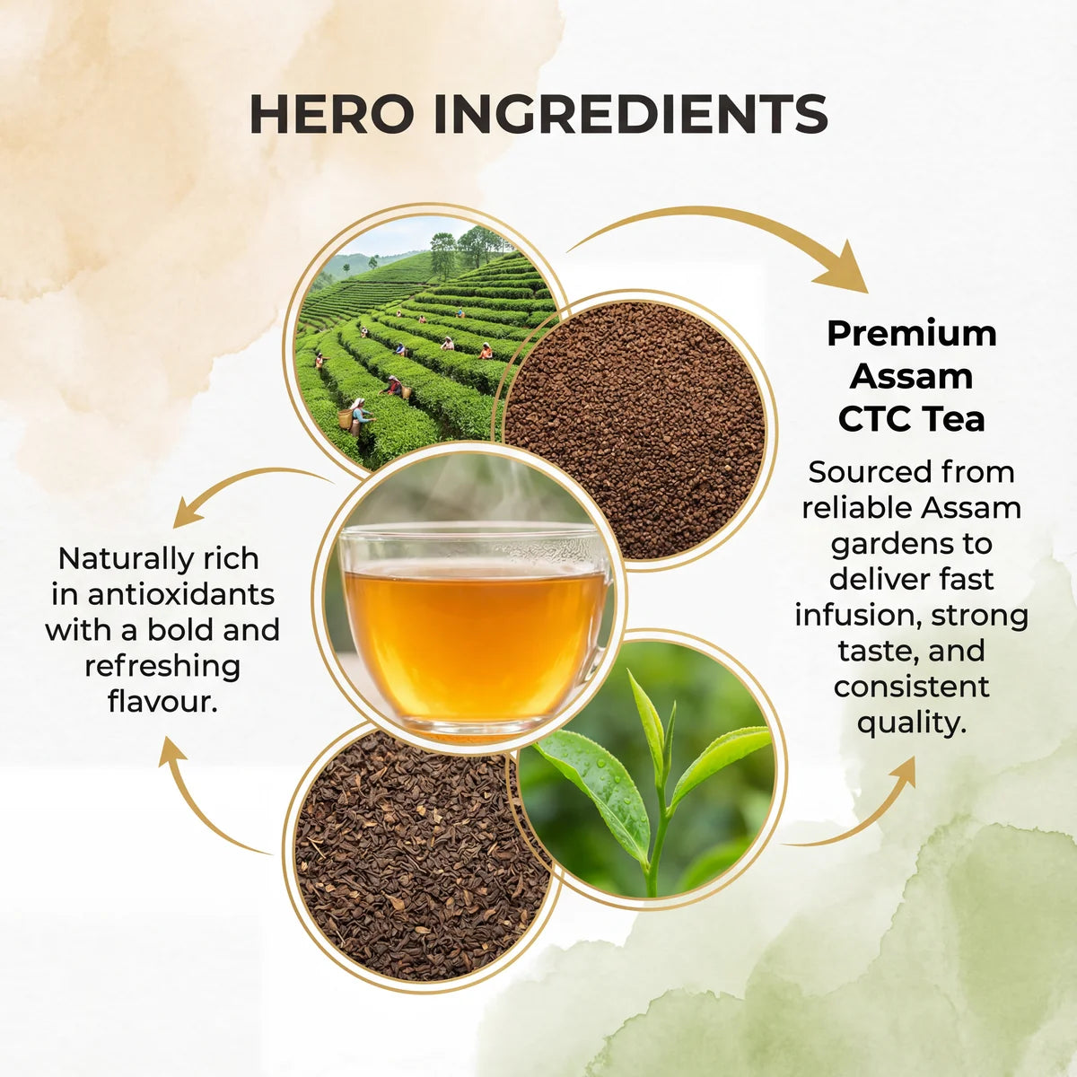 Surya Gold Fine Fanning Tea