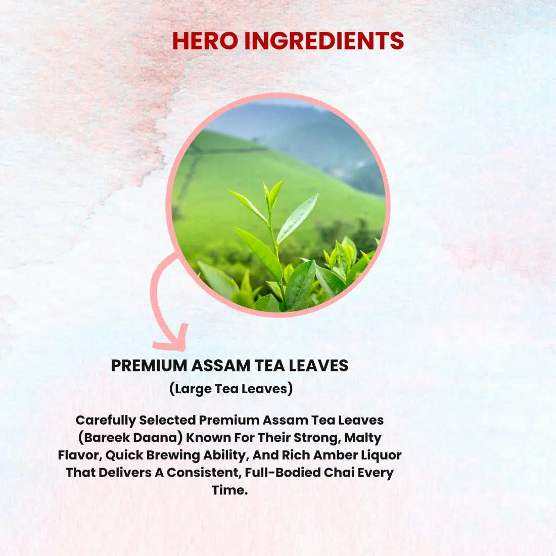 Sukoon Premium CTC Leaf Tea